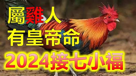 屬雞今年運勢|屬雞出生年份/幾多歲？屬雞性格特徵+生肖配對+2024。